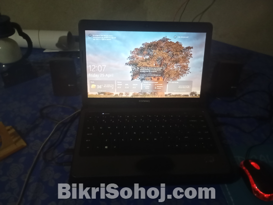 Hp Compaq